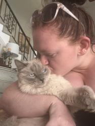 Reunited Female Cat last seen Coal mine and wadsworth , Littleton, CO 80123