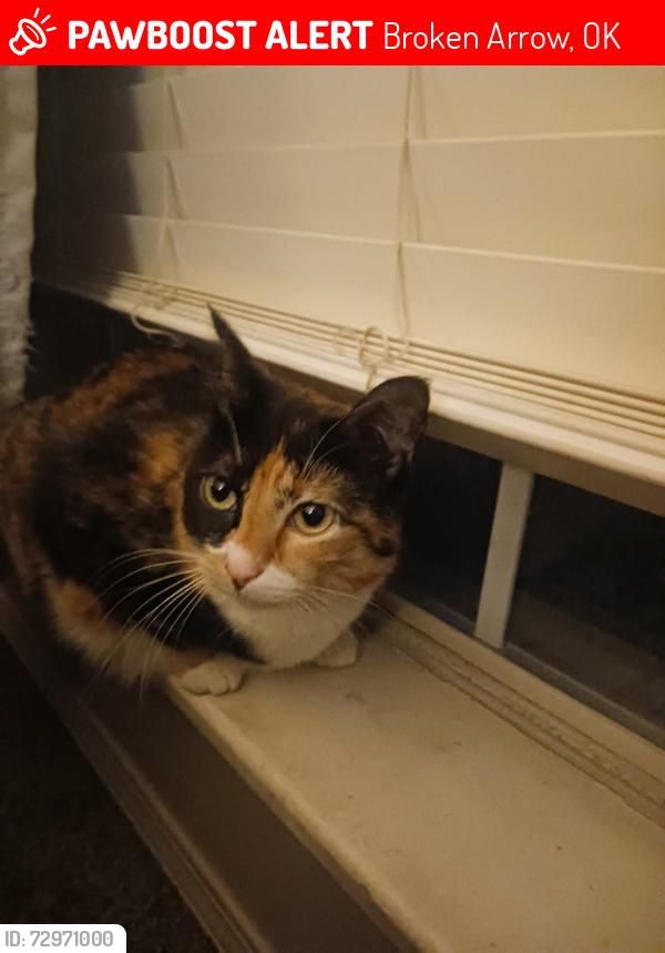 Lost Female Cat last seen Battle Creek Church BA, Broken Arrow, OK 74012