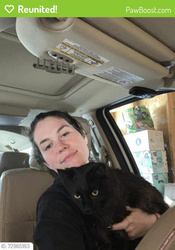 Reunited Male Cat last seen 49th st s and 19th near homedepot , Fargo, ND 58103