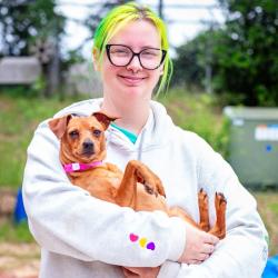 Shelter Stray Female Dog last seen , Hattiesburg, MS 39401