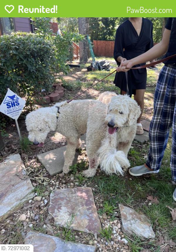Reunited Male Dog last seen Briarcliffe E, South Carolina, USA, Richland County, SC 29045