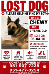 Reunited Male Dog last seen Citrus state park riverside, Riverside, CA 92503