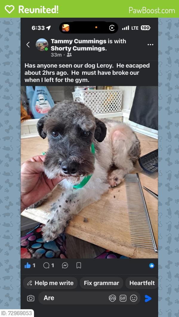 Reunited Male Dog last seen Near Celeste Wrecker Service, Hunt County, TX 75458