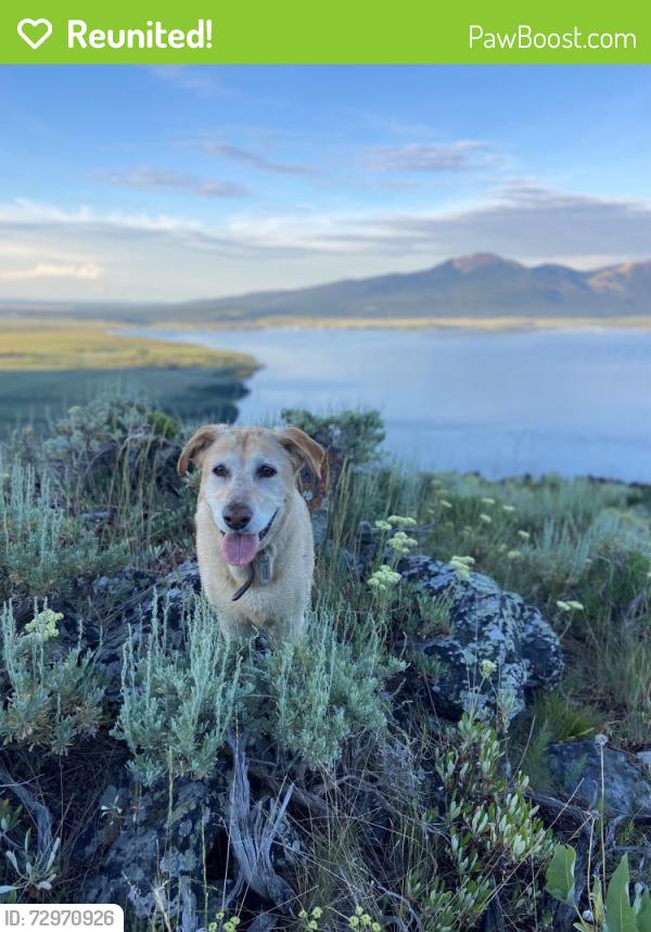 Reunited Female Dog last seen Black Cat and Larry Lane, Meridian, ID 83646