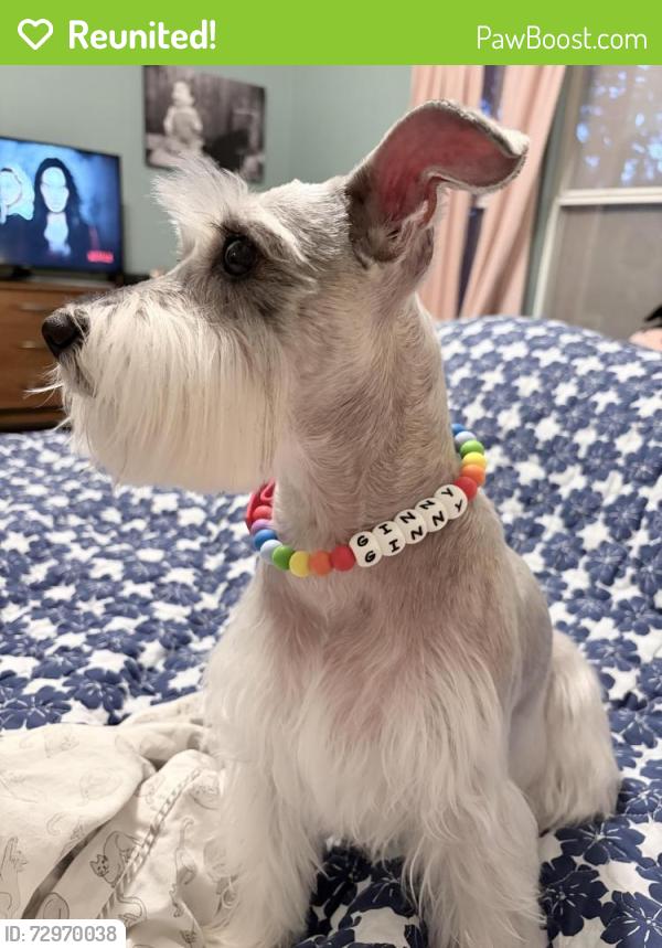Reunited Female Dog last seen Last seen near French Park, Helotes, TX 78023