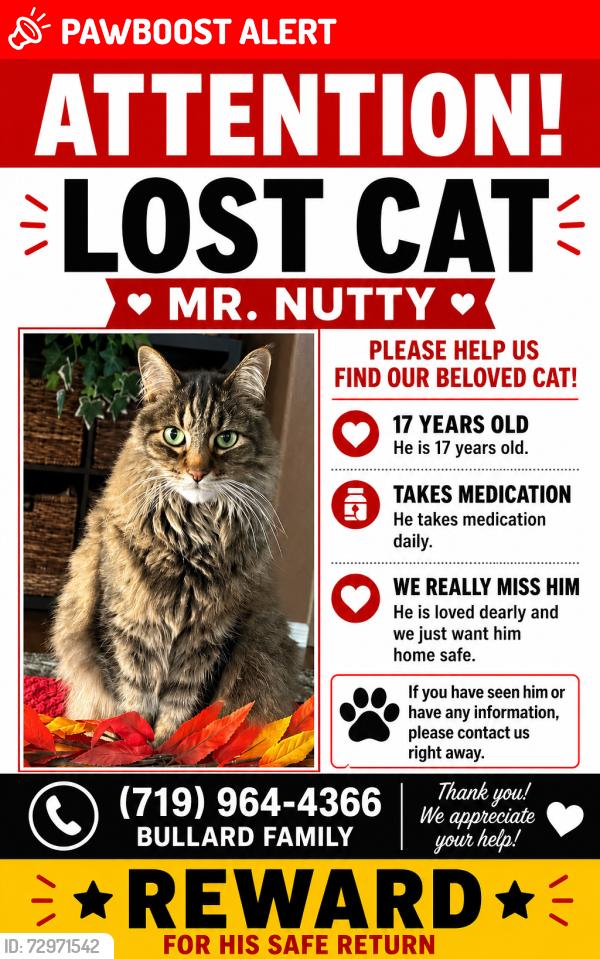 Lost Male Cat last seen Near Blue Moon Dr, Colorado Springs, CO 80924