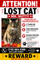 Lost Male Cat last seen Near Blue Moon Dr, Colorado Springs, CO 80924