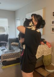 Reunited Male Cat last seen Echo Lake apmts & Wood Fern Trail, Bradenton, FL 34211