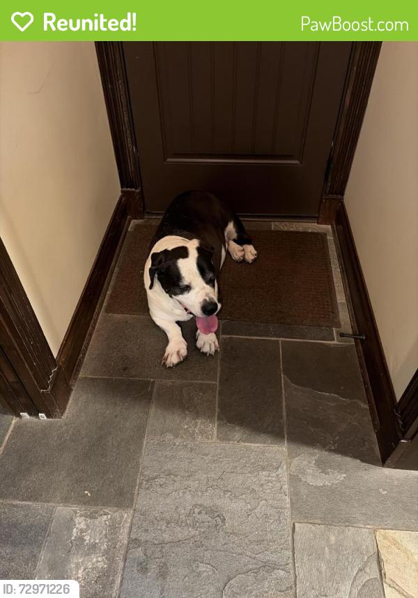 Reunited Male Dog last seen Normandy farms, Indianapolis, IN 46278