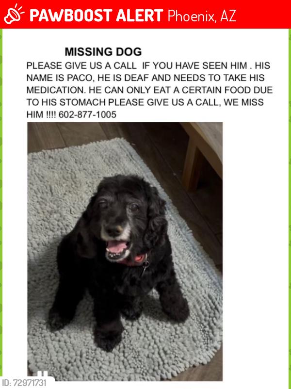 Lost Male Dog last seen 39th Ave and McDowell, Phoenix, AZ 85009