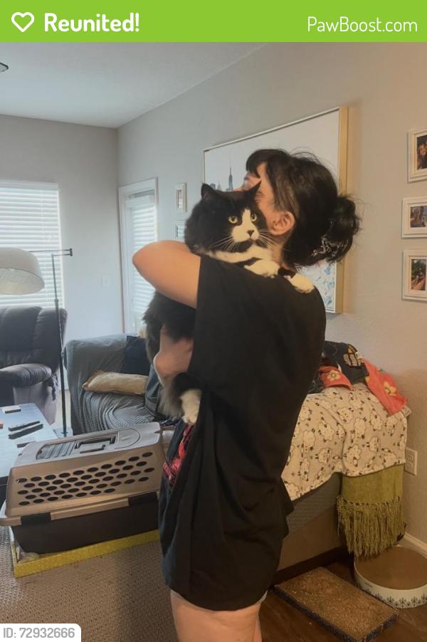 Reunited Male Cat last seen Echo Lake apmts & Wood Fern Trail, Bradenton, FL 34211