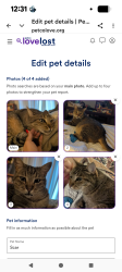 Lost Male Cat last seen Between Fifth & Mayflower , Monrovia, CA 91016