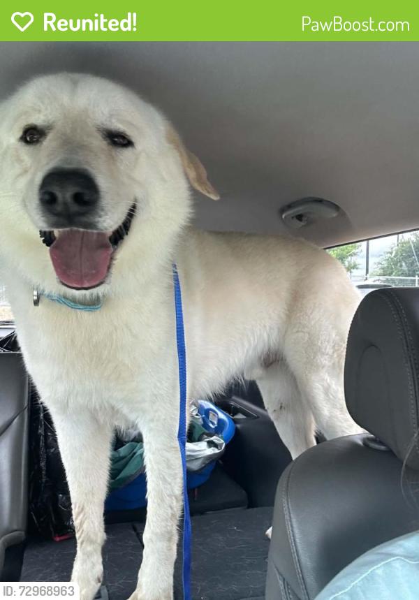 Reunited Male Dog last seen Wagley Robert’s , Fort Worth, TX 76131