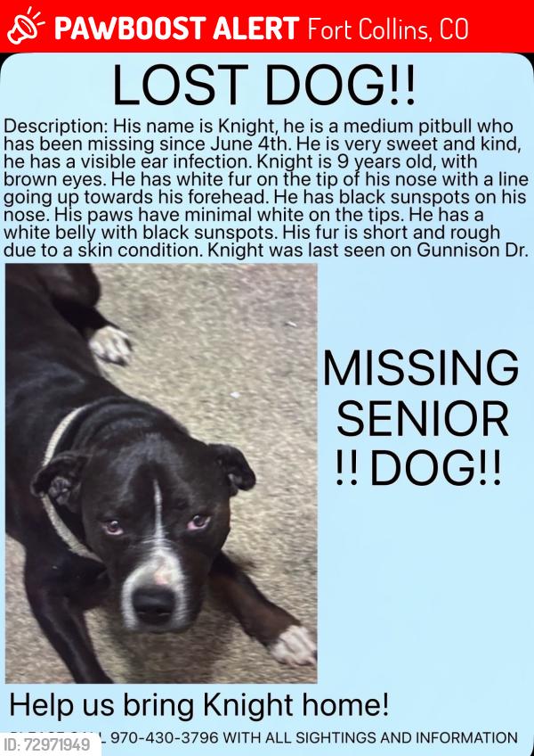 Lost Male Dog last seen Gunnison Dr , Fort Collins, CO 80526