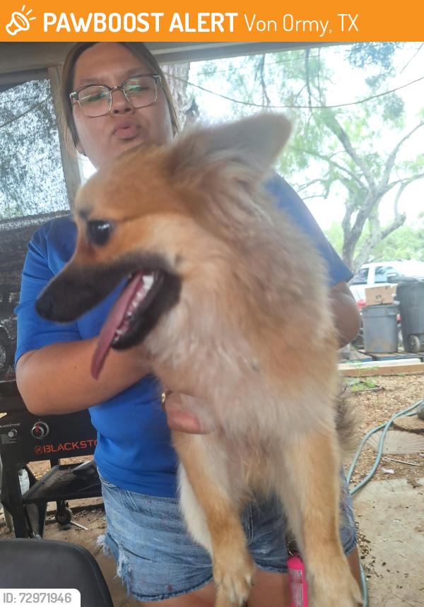 Found/Stray Male Dog last seen Von army Evans rd, Von Ormy, TX 78073