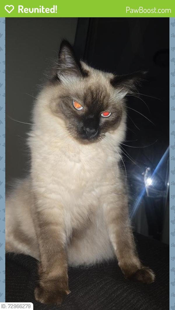 Reunited Male Cat last seen W 2nd st , Sioux City, IA 51103
