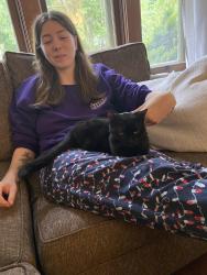 Reunited Female Cat last seen Tecumseh and wharncliffe, London, ON N6C 1R6