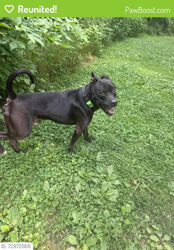 Reunited Male Dog last seen Ten mile creek greenway park, Knoxville, TN 37923
