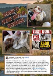 Reunited Male Dog last seen R street Newman and Yolo street Newman , Newman, CA 95360