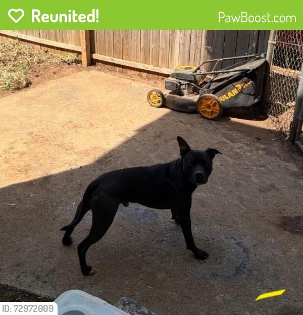 Reunited Male Dog last seen Bridgewater and Hardwick, Knoxville, TN 37923