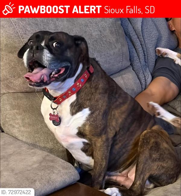 Lost Female Dog last seen Fernwood, Sioux Falls, SD 57110
