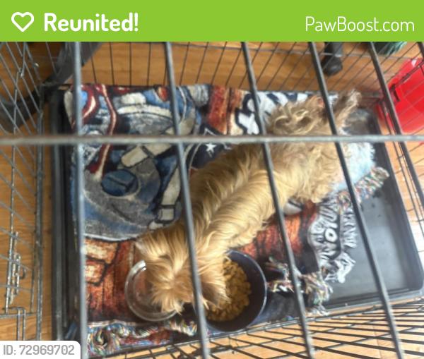 Reunited Unknown Dog last seen Leesway and Bonway , Pensacola, FL 32504