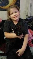 Lost Male Cat last seen Price chopper 23rd n sterling , Independence, MO 64052