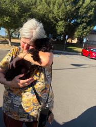 Reunited Male Dog last seen Bayberry, Woodview, Shantung, Peyton, Chino Hills, CA 91709