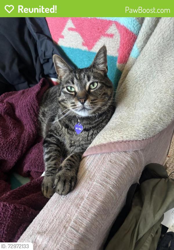 Reunited Male Cat last seen SE 15th st , Vancouver, WA 98683