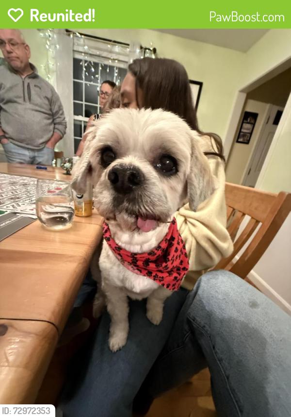 Reunited Male Dog last seen Sweetbriar Lane, Hampton, NH 03842