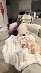 Lost Male Dog last seen S.M Wright 310, Dallas, TX 75215