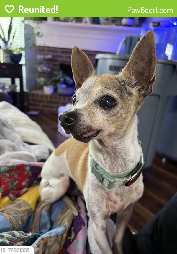 Reunited Male Dog last seen St Mark Drive, Mansfield, TX 76063