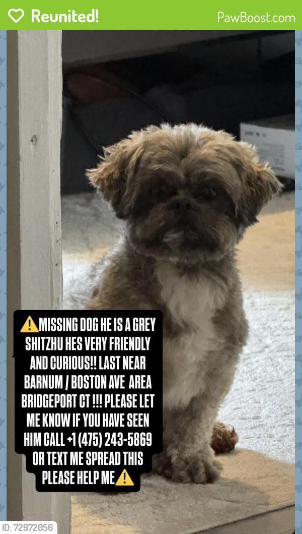 Reunited Male Dog last seen Boston Ave and Barnum Ave, Bridgeport, CT 06610
