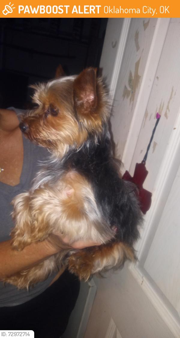 Found/Stray Male Dog last seen NW 10th morgan rd, Oklahoma City, OK 73127