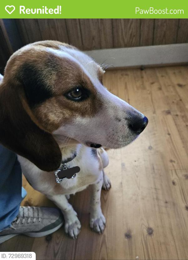 Reunited Male Dog last seen Banbrige, Jamestown, NC 27282