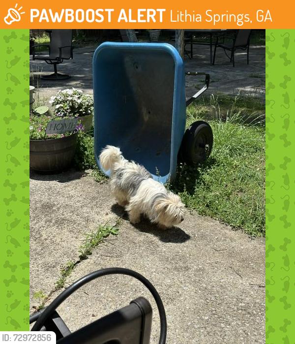 Found/Stray Female Dog last seen old douglasville rd and brownsville rd., Lithia Springs, GA 30122