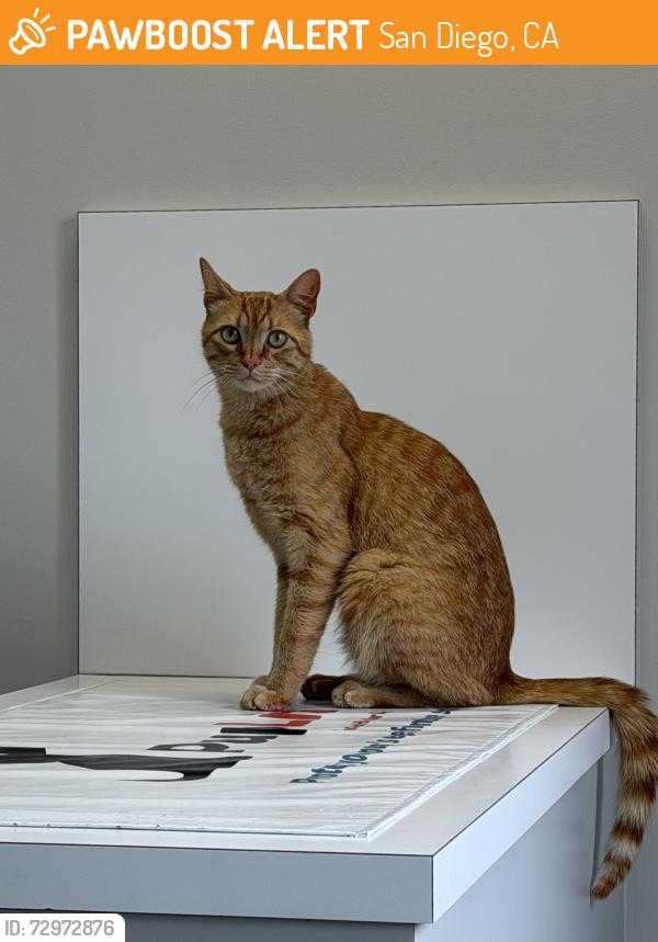 Found/Stray Male Cat last seen Near ladera st, San Diego, CA 92107