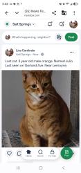 Lost Male Cat last seen Salt Springs Rd, Syracuse, NY 13224