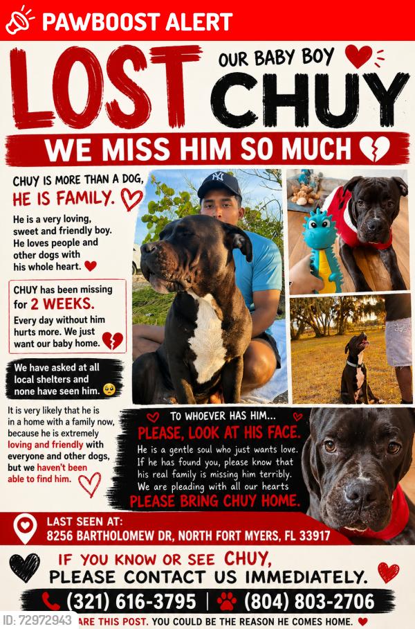 Lost Male Dog last seen Near Bartholomew Dr, NorthFort Myers, FL 33917, North Fort Myers, FL 33917