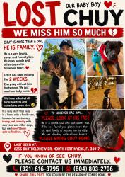 Lost Male Dog last seen Near Bartholomew Dr, NorthFort Myers, FL 33917, North Fort Myers, FL 33917