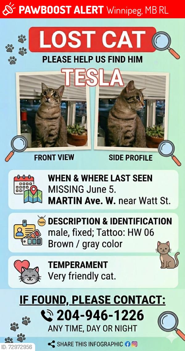 Lost Male Cat last seen Watt St @ Martin Ave W, Winnipeg, MB R2L