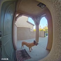 Reunited Unknown Dog last seen Sierra and Streeter, Riverside, CA 92504