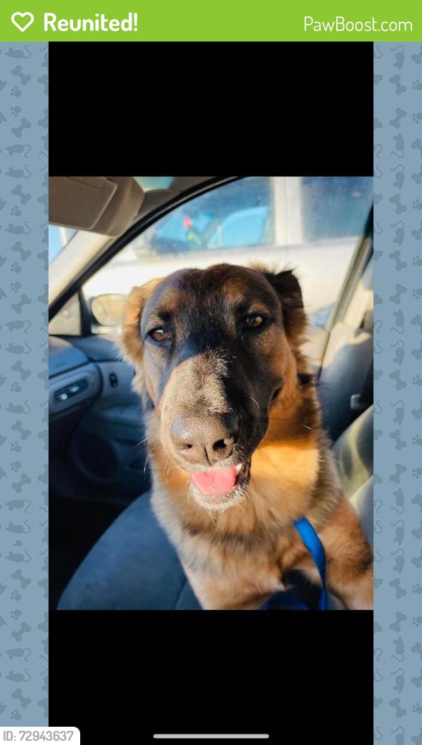 Reunited Male Dog last seen Seymour Hwy Entrance of Lucy Park, Wichita Falls, TX 76302