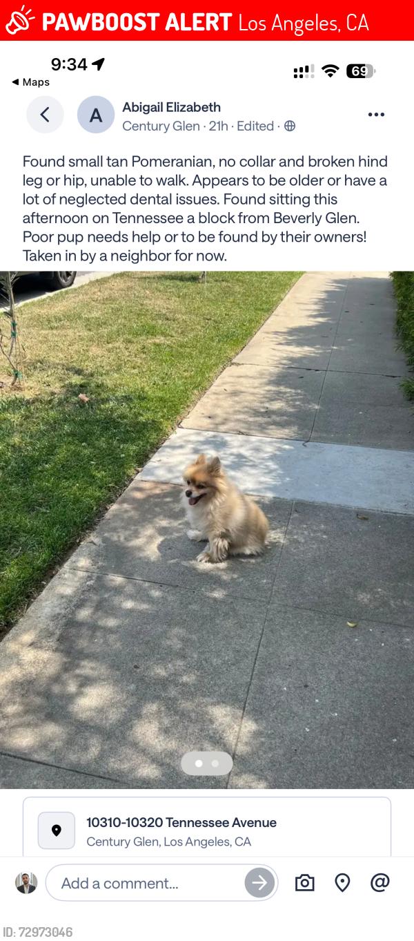 Lost Unknown Dog last seen Between Tenessee and Beverly Glen Blvd, Los Angeles, CA 90064
