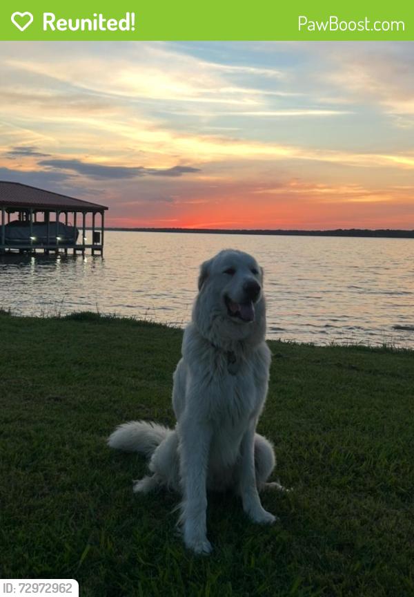 Reunited Male Dog last seen Alice ponder elementary , Mansfield, TX 76063