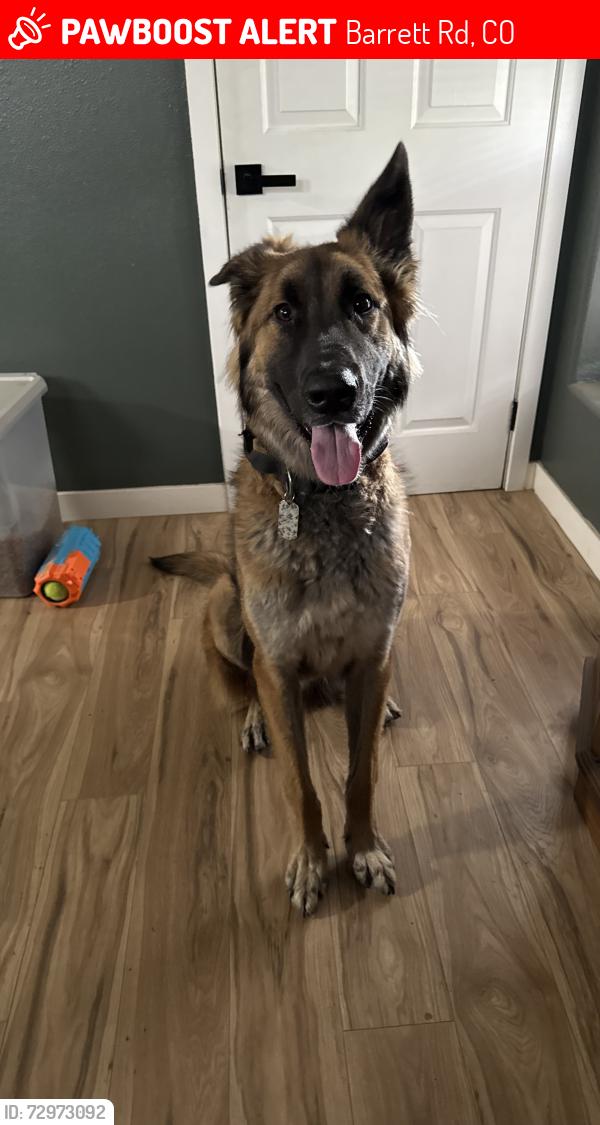 Lost Male Dog last seen Barrett road, Colorado Springs, CO 80926