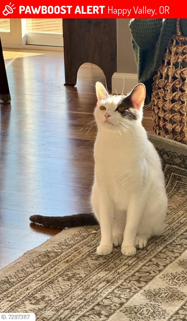 Lost Female Cat last seen Ludlow Ct and SE Lenore, Happy Valley, OR 97086