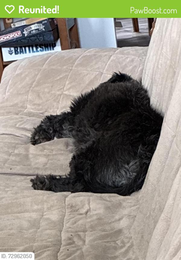 Reunited Male Dog last seen 15th , Prince Albert, SK S6V