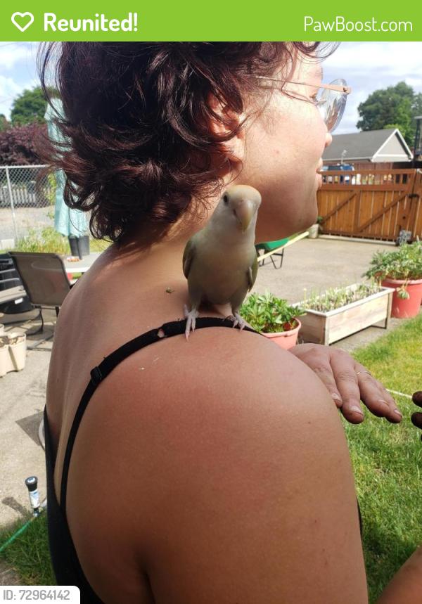 Reunited Unknown Bird last seen 86th St, near Monument Tire, Vancouver, WA 98665