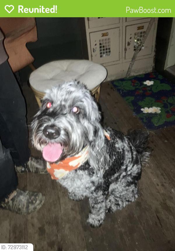 Reunited Unknown Dog last seen ROSA PARKS AND GRAND, Portland, OR 97211